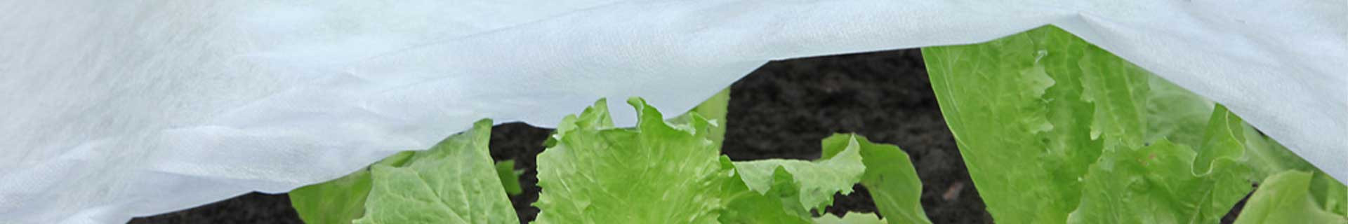 Voile d'hivernage et voile de fonçage P30 et P17 | Direct Filet